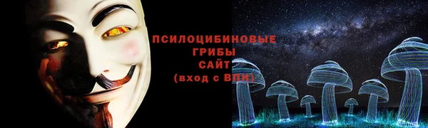 бошки Алексеевка