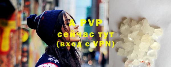 прущие грибы Абдулино