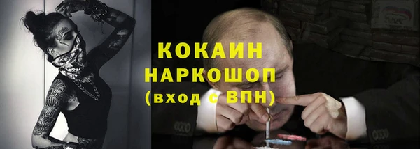 прущие грибы Абдулино