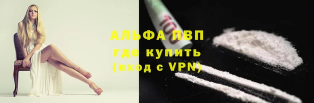 индика Абаза