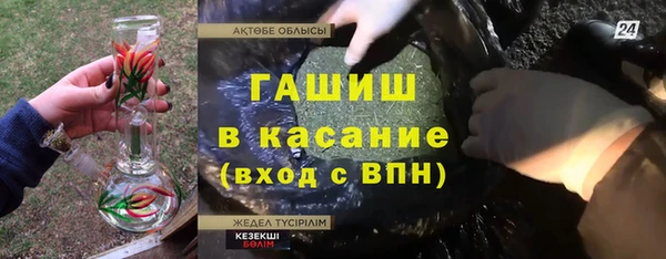 молекула духа Алексин
