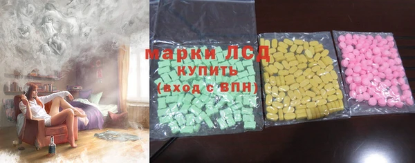 индика Абаза
