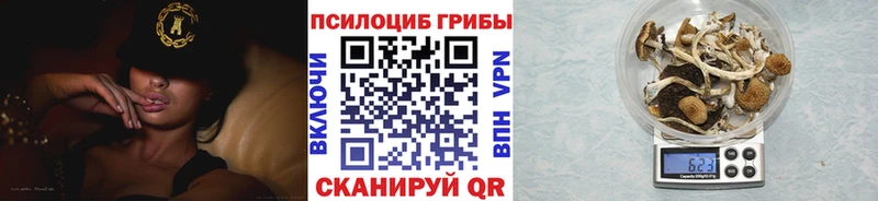 Псилоцибиновые грибы мухоморы  Череповец 